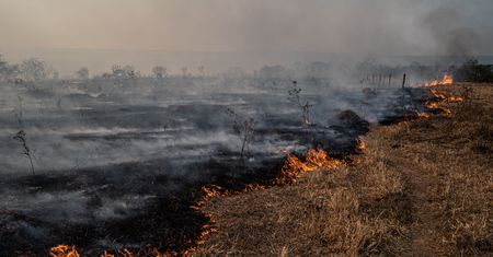 Ekstremalne zjawiska pogodowe przybierają na sile? Eksperci wyjaśniają, co za tym stoi