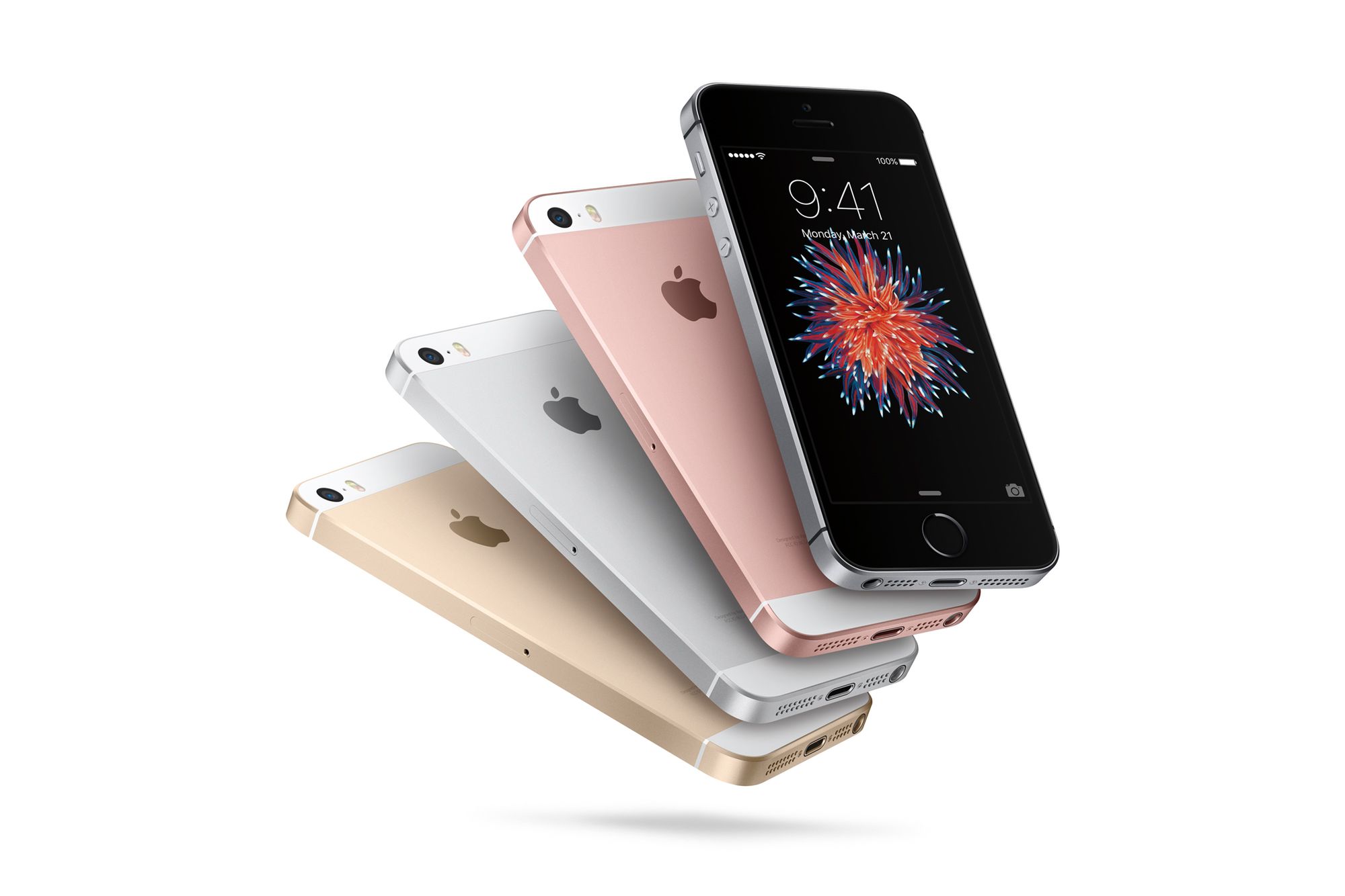 iPhone SE okiem fotografa. Co jest w nim tak wyjątkowego? 1