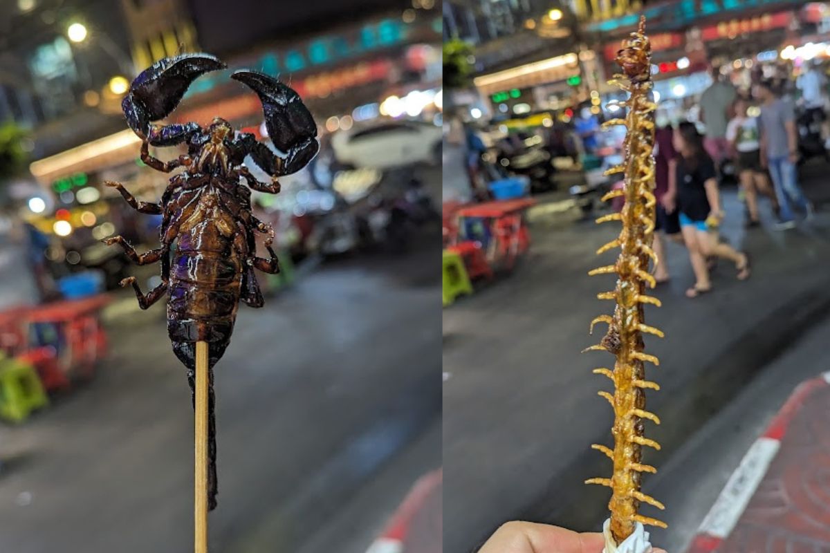 Smażony skorpion za 150 bahtów, czyli ok. 17 zł oraz skolopendra za 100 bahtów - ok. 11,5 zł