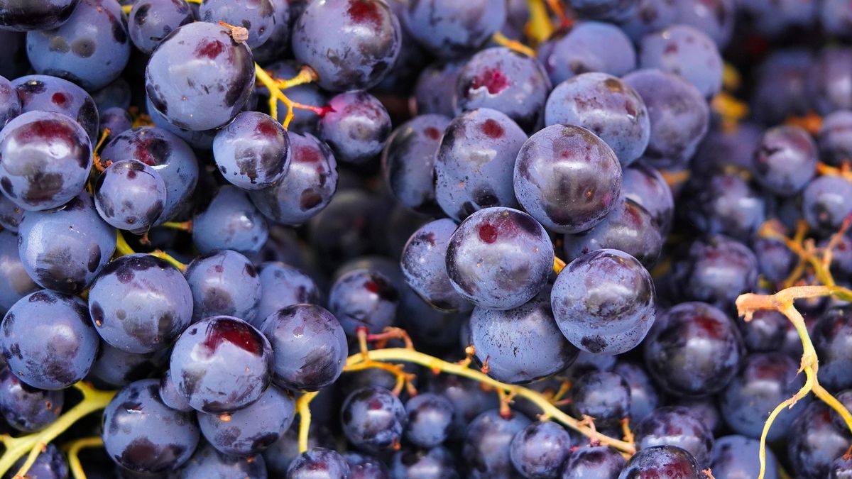 Zmienia skład mikrobiomu. Badacze odkryli, który owoc ma najlepszy wpływ na jelita