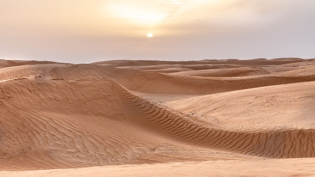 Największa pustynia na świecie - Sahara.