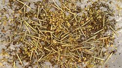 Zioła prowansalskie wszyscy mają w kuchni. Ale mało kto wie, skąd się wzięły i jak działają na organizm