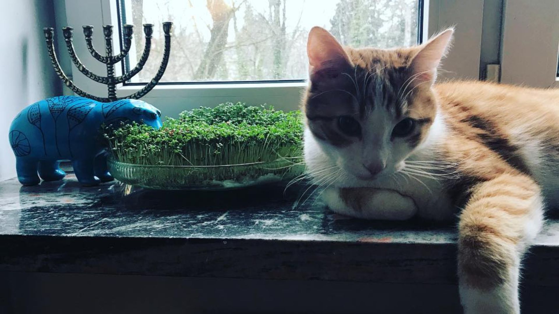 Tak mieszka Magdalena Cielecka