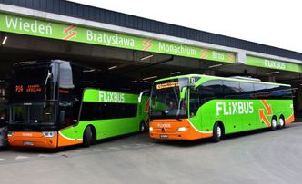 FlixBus będzie na bieżąco analizował możliwość przywracania kolejnych połączeń