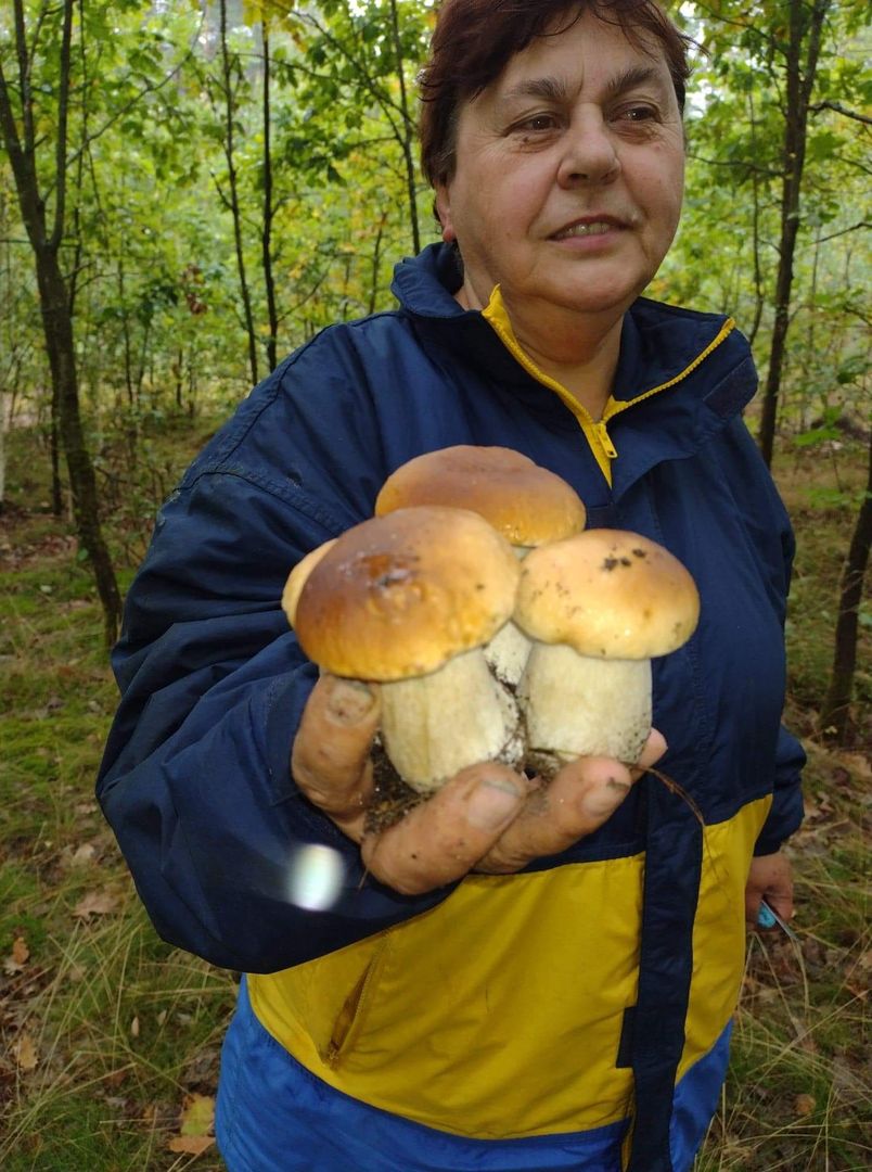 Pani Ewa grzyby zbiera od dziecka. Za największe okazy była uhonorowana nagrodą w swojej gminie
