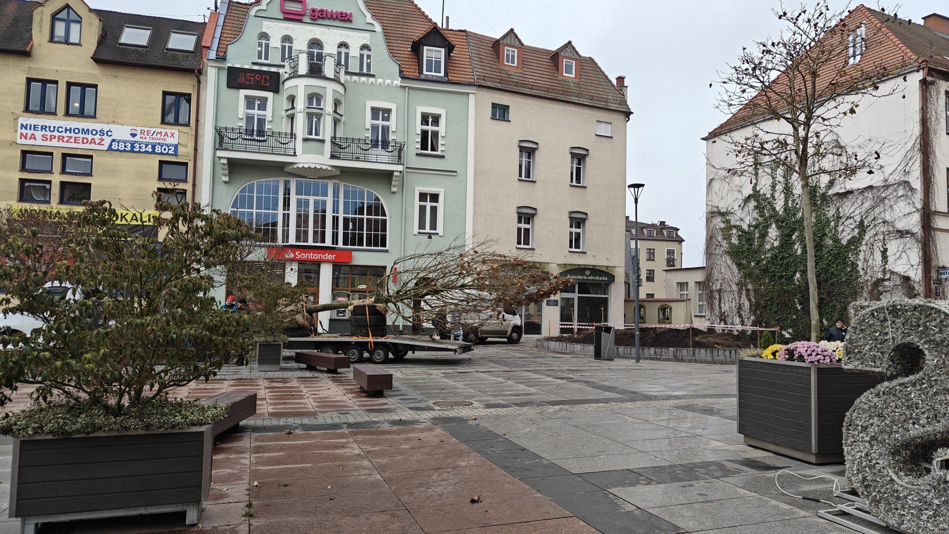 Montaż choinki na Placu Wolności w Szczecinku