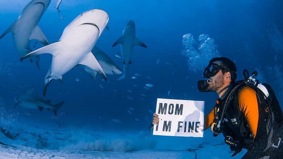 Po tym zdjęciu mama Jonathana na pewno jest spokojniejsza.
