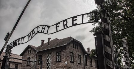 Szokujące badania. Prawie dwie trzecie dorosłych Amerykanów nie ma pojęcia o Holokauście