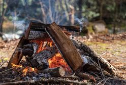 Gdzie można palić ognisko? Biesiadowanie może zakończyć się mandatem