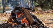 Gdzie można palić ognisko? Biesiadowanie może zakończyć się mandatem