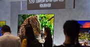 LG OLED 8K: Pierwszy taki telewizor w Europie sprzedano w Polsce