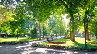 Lublin: W parkach po nowemu. I na Felinie, i przy ul. Zawilcowej
