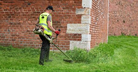 Obudził ją hałas. Narzeka na koszenie. "Komu przeszkadza trawa?"