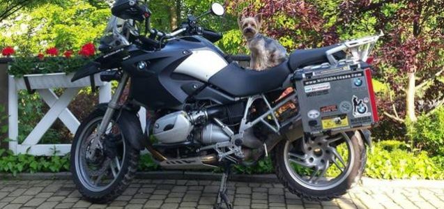 O psie, który jeździł motorem