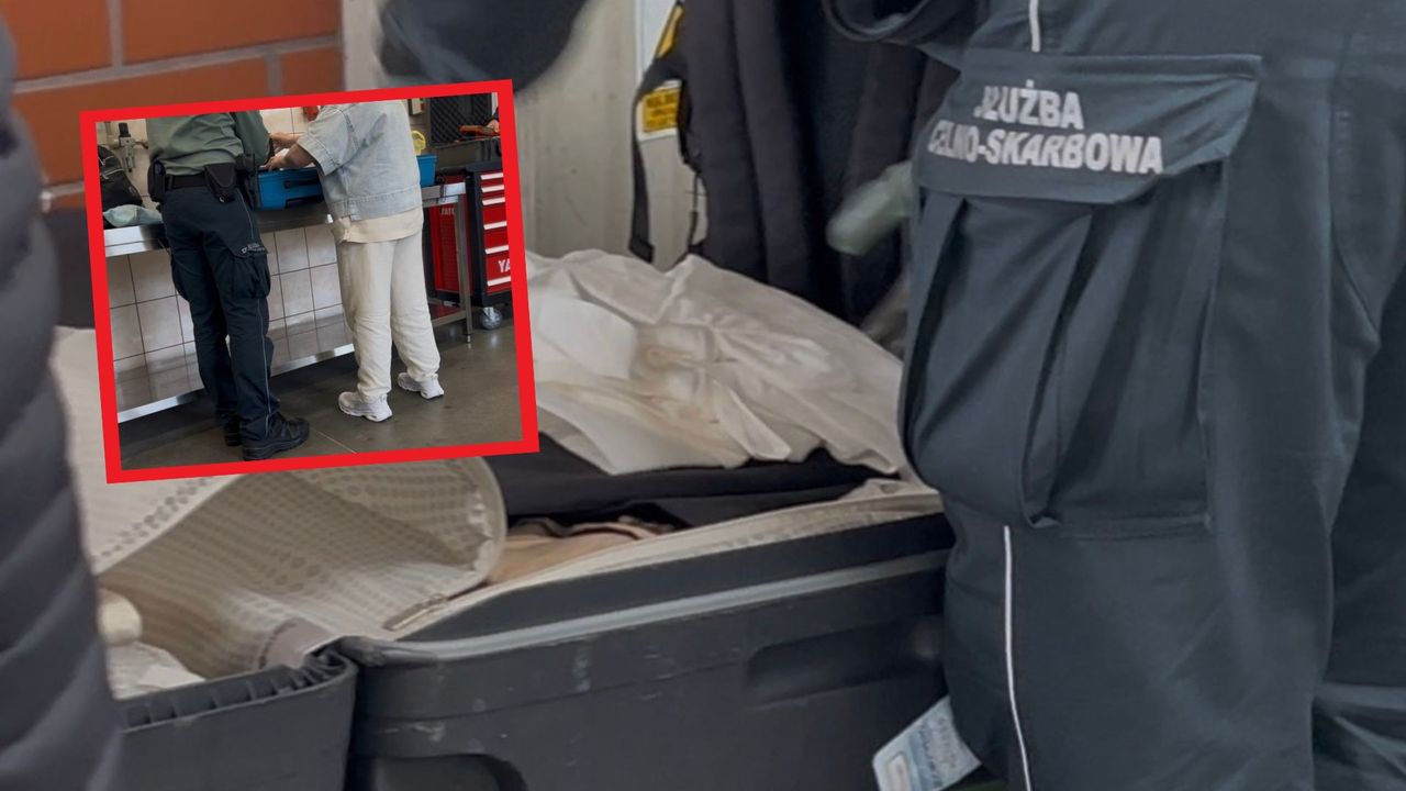 Auta w specjalnym pomieszczeniu. Byliśmy na granicy z Rosją