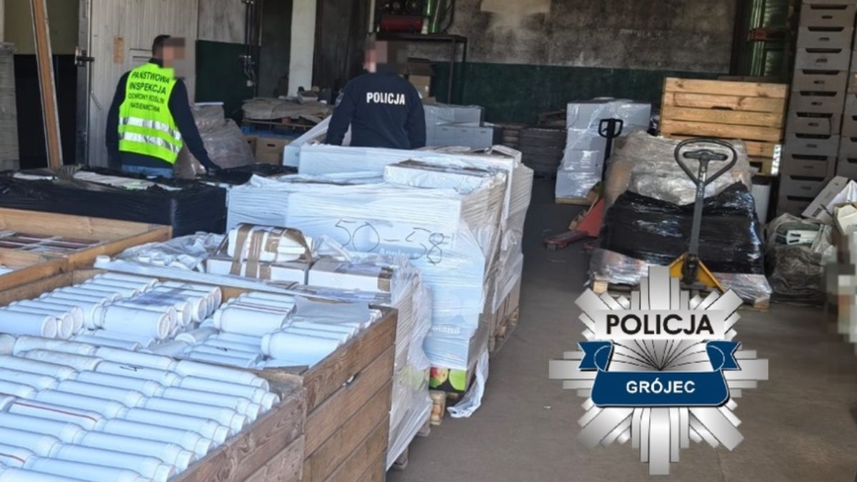 Blisko 11 ton nielegalnych pestycydów nie trafi na rynek