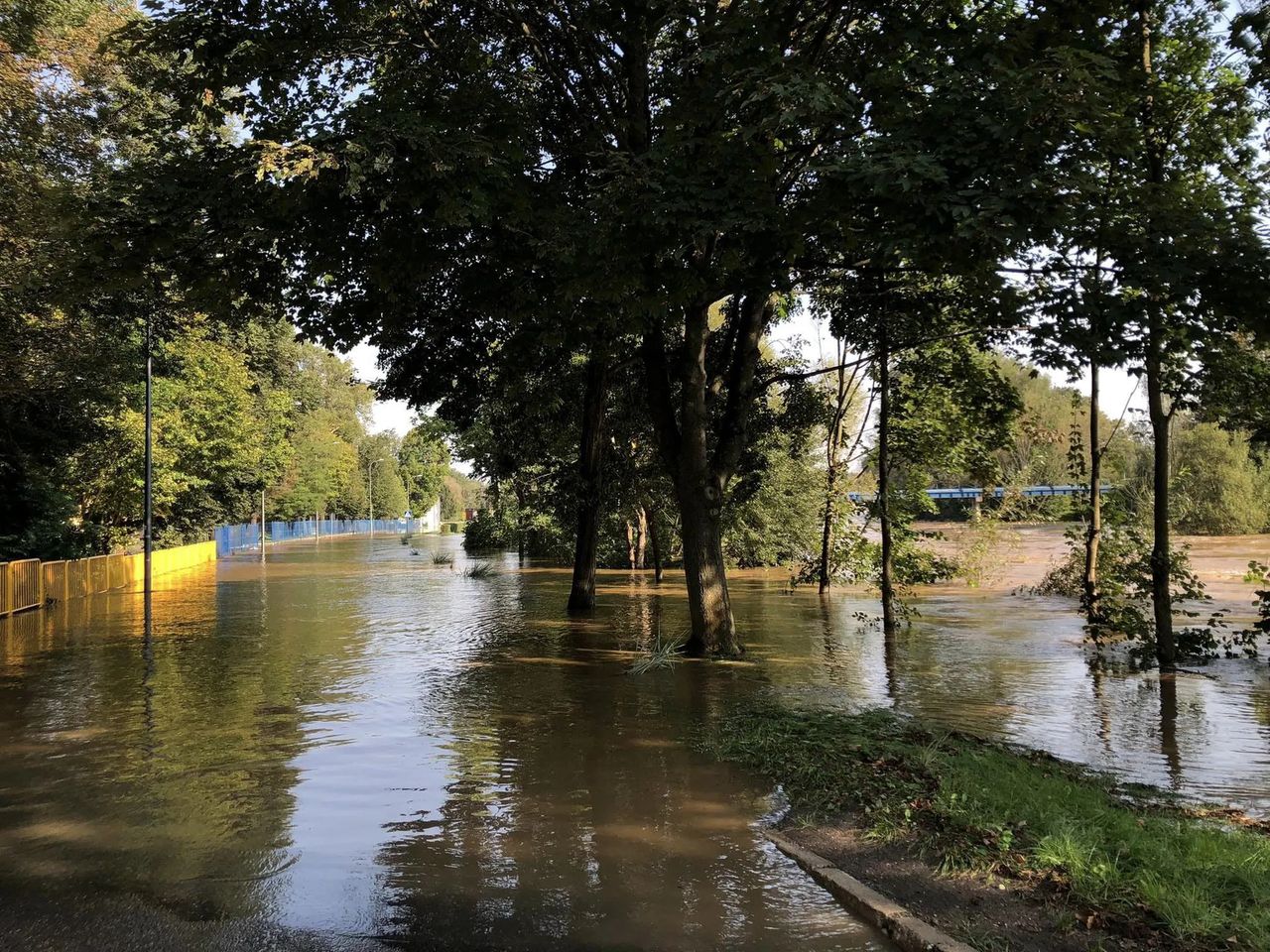 Szprotawa zalana po wylaniu rzeki Bóbr