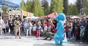 Zator: Majówka 2026: Zatorland zamiast Legendii? Sprawdź cennik, parking i menu w największym parku dinozaurów