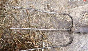 Uśmiercił dwa psy. Jednego z nich dźgnął widłami