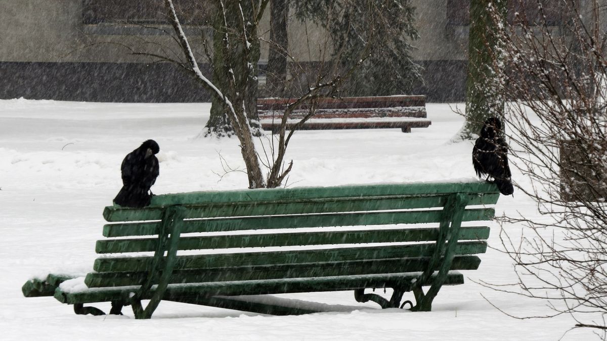 Mężczyzna zmarł z wychłodzenia na ławce. Zdj. ilustracyjne