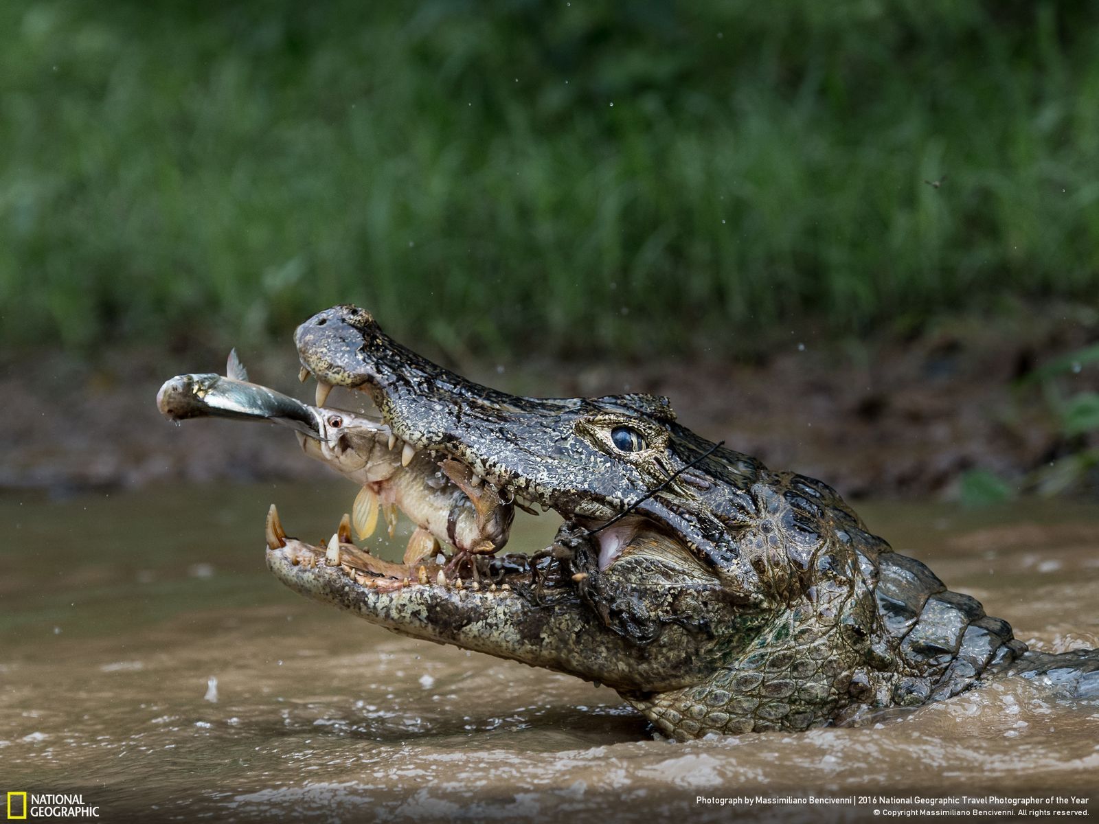 Znamy zwycięzców prestiżowego konkursu Travel Photographer of the Year 2016 4
