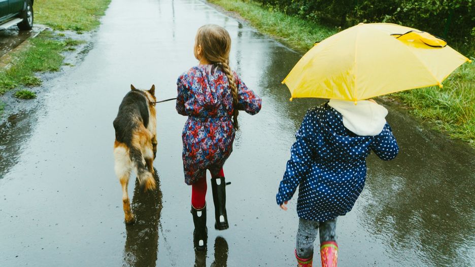 Dzieci w Łodzi udawały, że są psami. Sąsiedzi byli zaniepokojeni