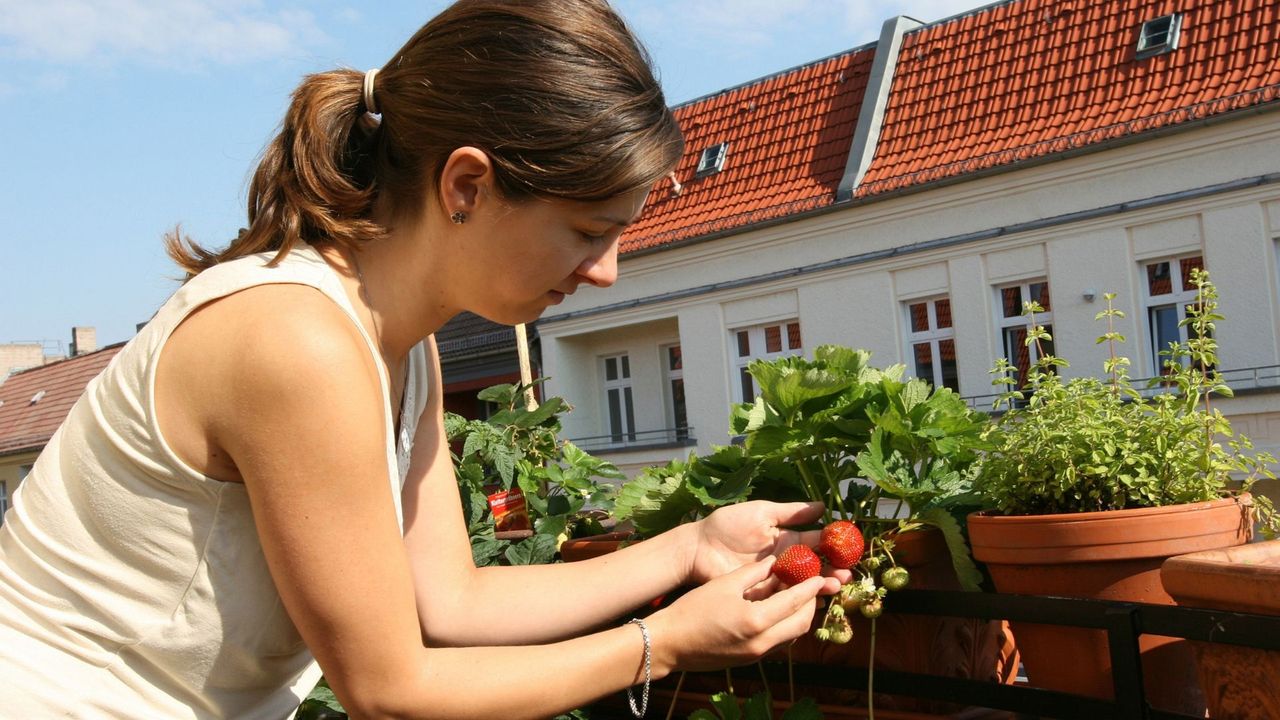 Ogródek warzywny na małym balkonie. Co możesz uprawiać nawet w bloku
