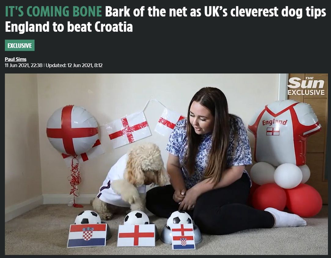 Piesek Willow wskazał zwycięzcę meczu Anglia - Chorwacja