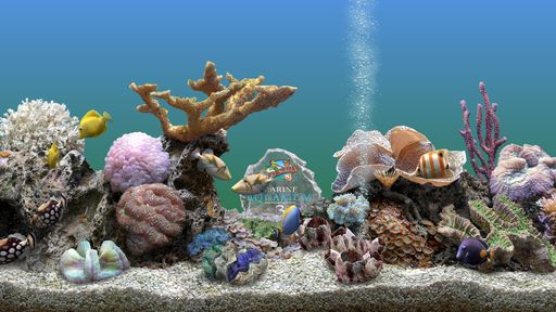 Marine Aquarium