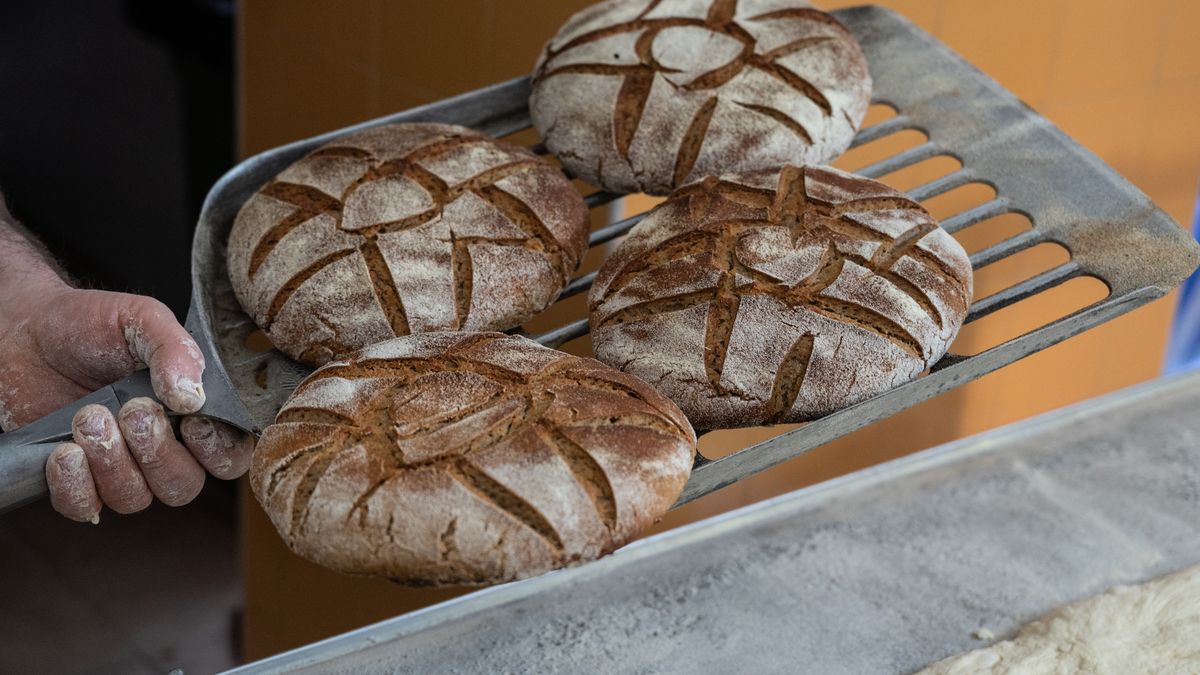 Piekarnia Paryska z Trójmiasta ogłosiła upadłość. Zdj. ilustracyjne