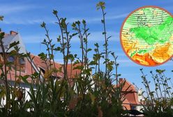 Pogoda. Krótki zwrot. Potem wróci chłód