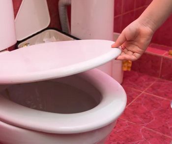 Wrzuć do muszli i zamknij klapę. Będzie pachnieć jak w hotelu