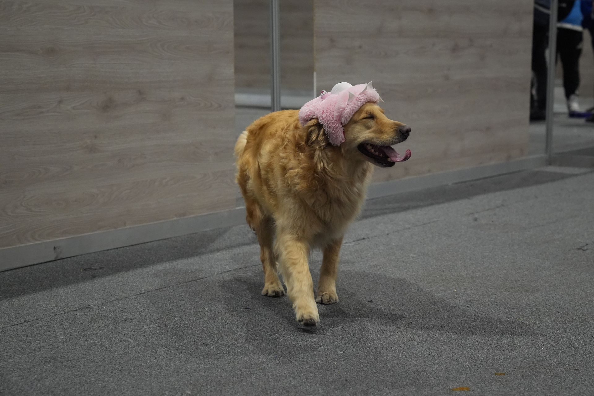 Ta przyjaźń jest niezwykła. Rozumieją nas lepiej niż sądzimy