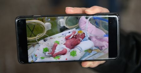 Pięcioraczki w obiektywie. Te zdjęcia chwytają za serce!