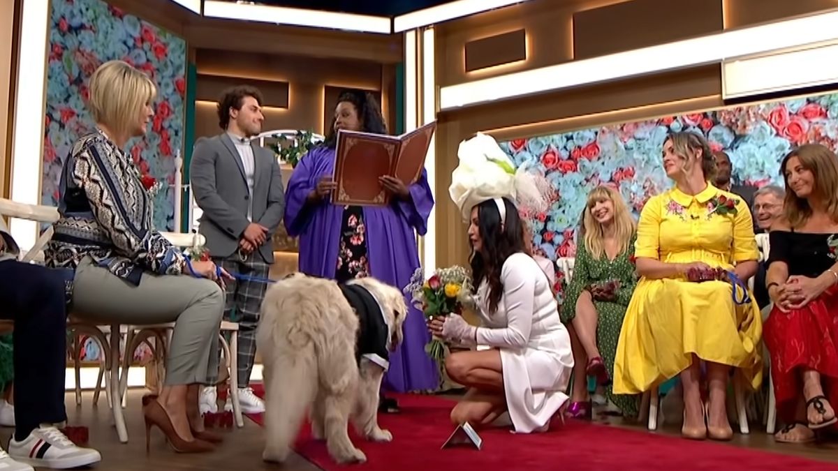 Wzięła rozwód z mężem. Brytyjka poślubiła psa