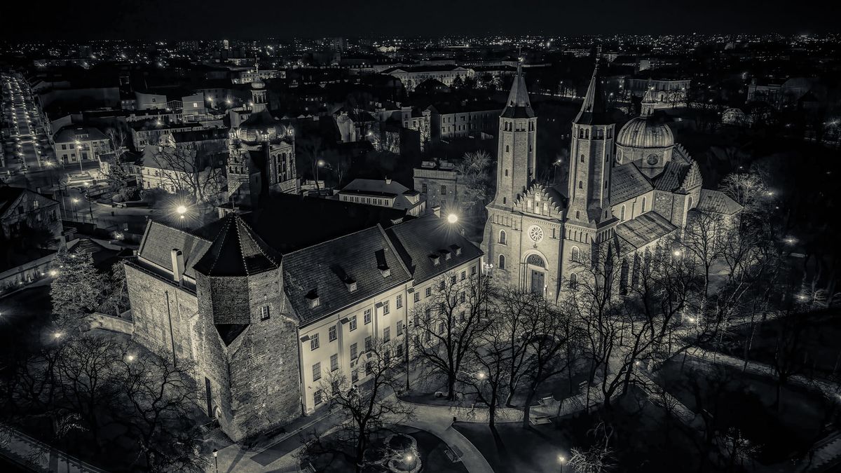 Latający dzik