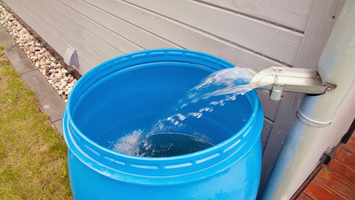 rain, water, harvesting, collecting, barrel, tank, collection, rainwater, drain, recovery, climate, consumption, container, eco, plastic, ecological, garden, house, home, environment, ecology, saving, gardening, irrigation, pipe, nature, outdoor, watering, plants, save, storage, drought