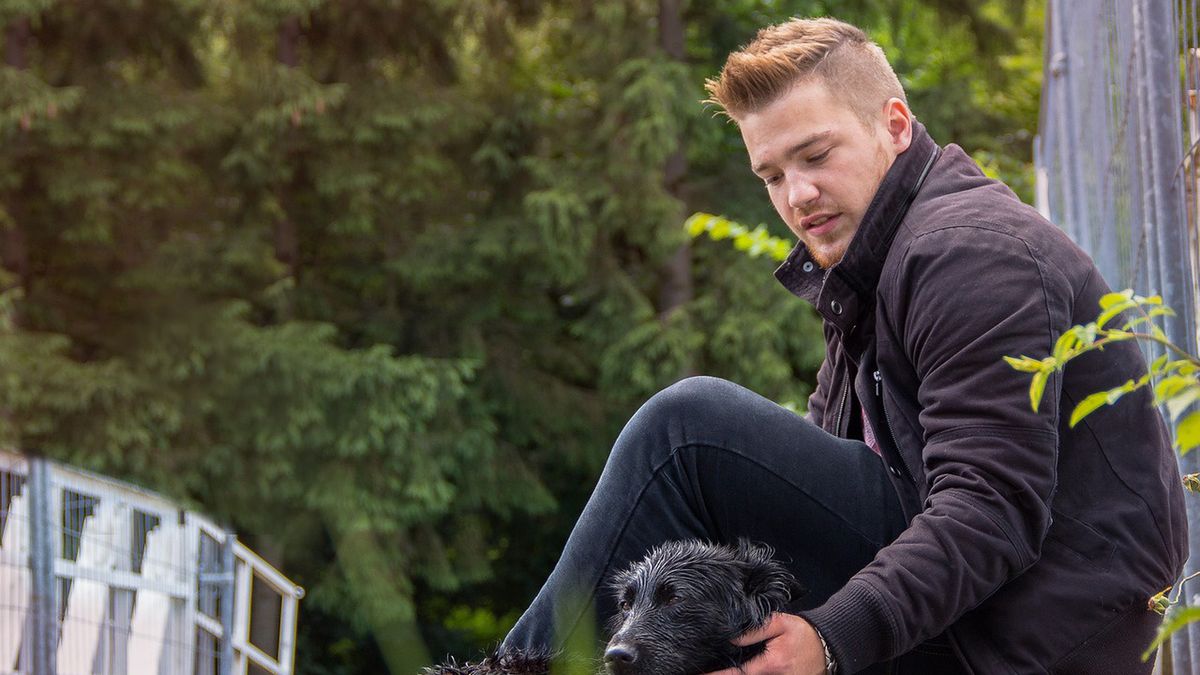 GIS ostrzega przed bąblowicą