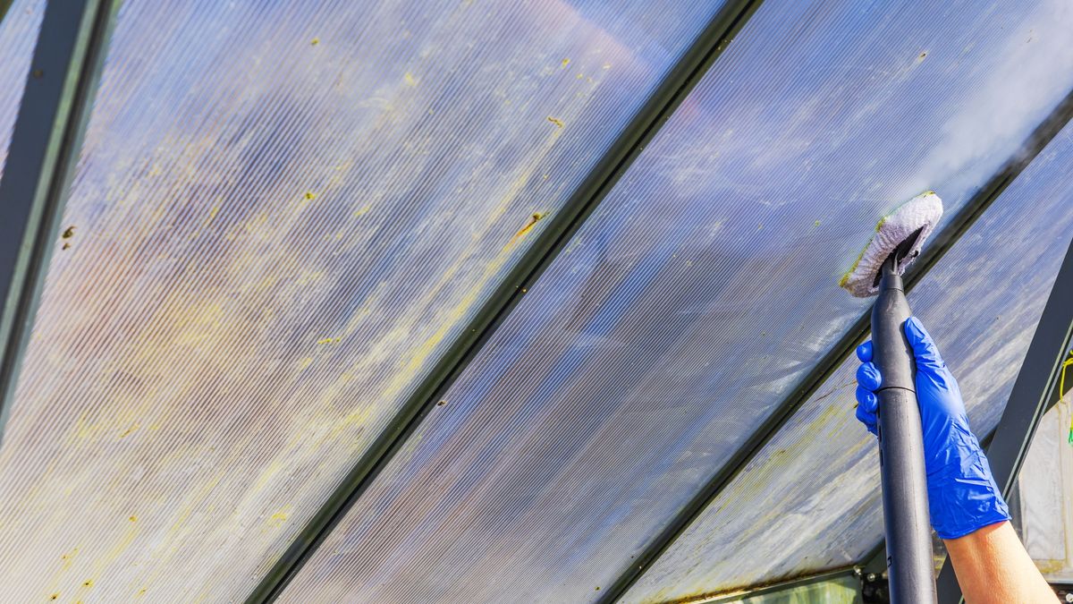 Close up view of woman hand steam cleaning greenhouse glass roof spring preparation before planting. Sweden.
Close up view of woman hand steam cleaning greenhouse glass roof spring preparation before planting. Sweden.
Alexander Shapovalov
glass, interior, labor, roof, remove, task, surface, utility, manual, seasonal, farming, industrial, worker, process, closeup, glass roof, cultivation, spring, upkeep, structure, professional, scrub, maintenance, woman hand, moisture, work, vapor, tool