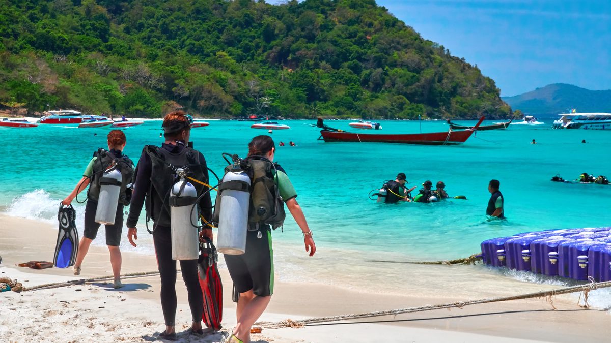 scuba-diver, scuba, sea, diver, nature, equipment, ocean, background, vacation, sand, dive, travel, tropical, man, water, beautiful, sport, mask, snorkel, leisure, island, deep, group, adventure, swimming, beach, coral, holiday, oxygen, couple, lifestyle, swimmer, aquatic, woman, wildlife, reef, white, tube, diving, suit, people, club, colorful, plastic, illustrative, editorial