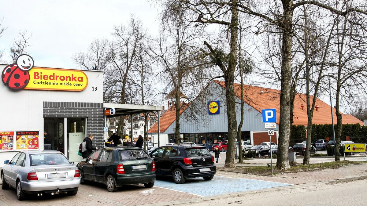 Biedronka i Lidl