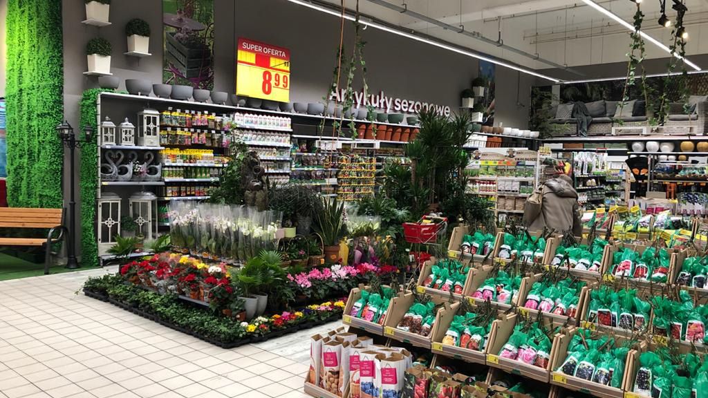 Carrefour zaprasza do ogrodu i skateparku