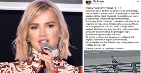 Rowerzysta OTRUŁ PSA. Maffashion dołączyła do poszukiwań: "Jaką trzeba być KANALIĄ?!"