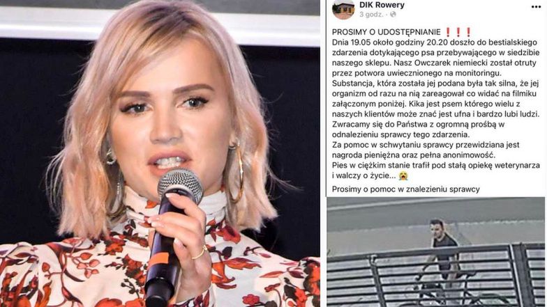 Rowerzysta OTRUŁ PSA. Maffashion dołączyła do poszukiwań: "Jaką trzeba być KANALIĄ?!"