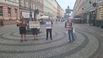 Szczecin: Protest przeciwko rytualnemu ubojowi zwierząt na deptaku