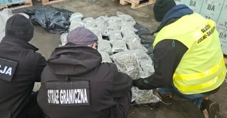 Mieli przemycić ponad 400 kg marihuany. Jest akt oskarżenia
