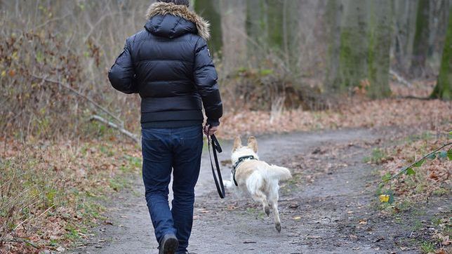 W Bielsku-Białej, prócz nowych zasad, przypominają o sprzątaniu po pupilach