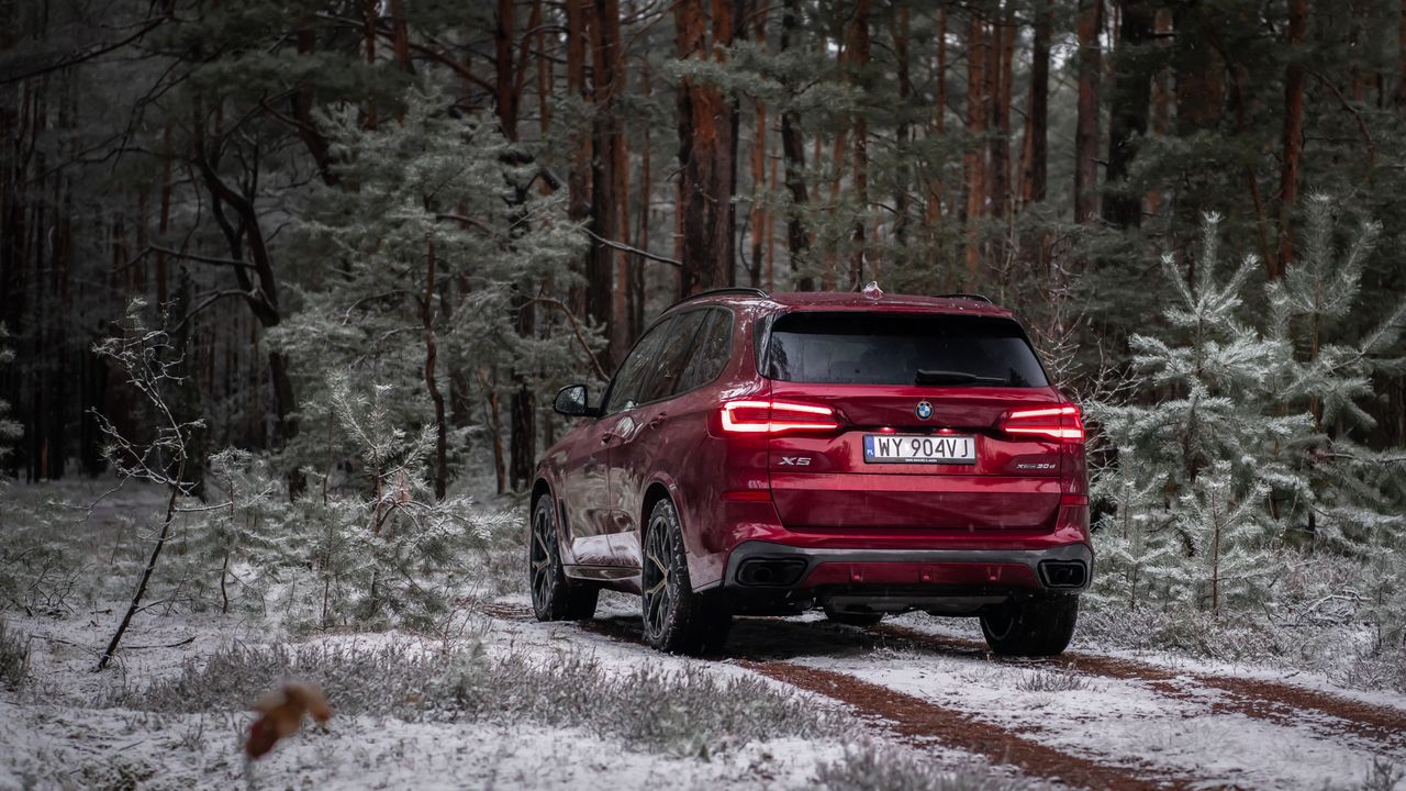 BMW X5 xDrive 30d (2022)