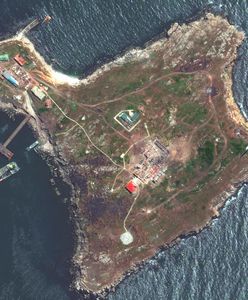 Rosjanie potwierdzają straty na Wyspie Węży