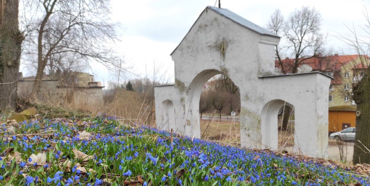 Ostróda: 3 oferty na projekt rewitalizacji zabytkowego cmentarza Polska Górka